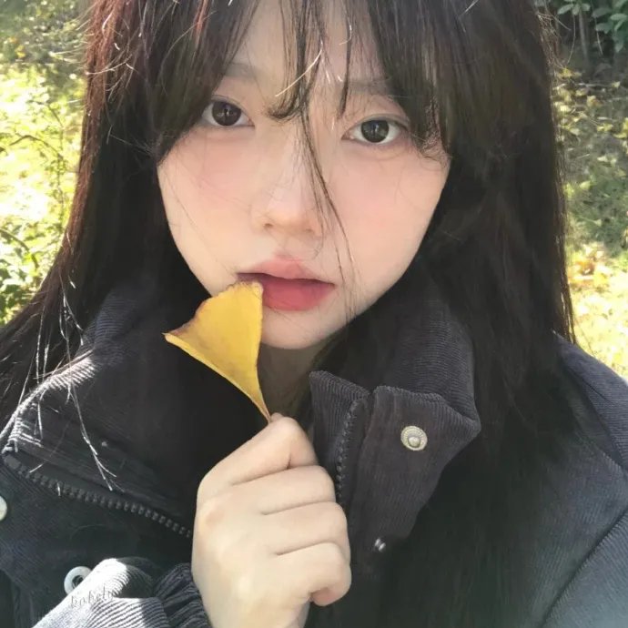波特罗